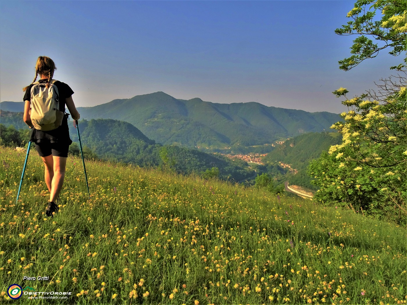 13 Prati in fiore con vista sulla conca di Zogno ed in Canto Alto.JPG